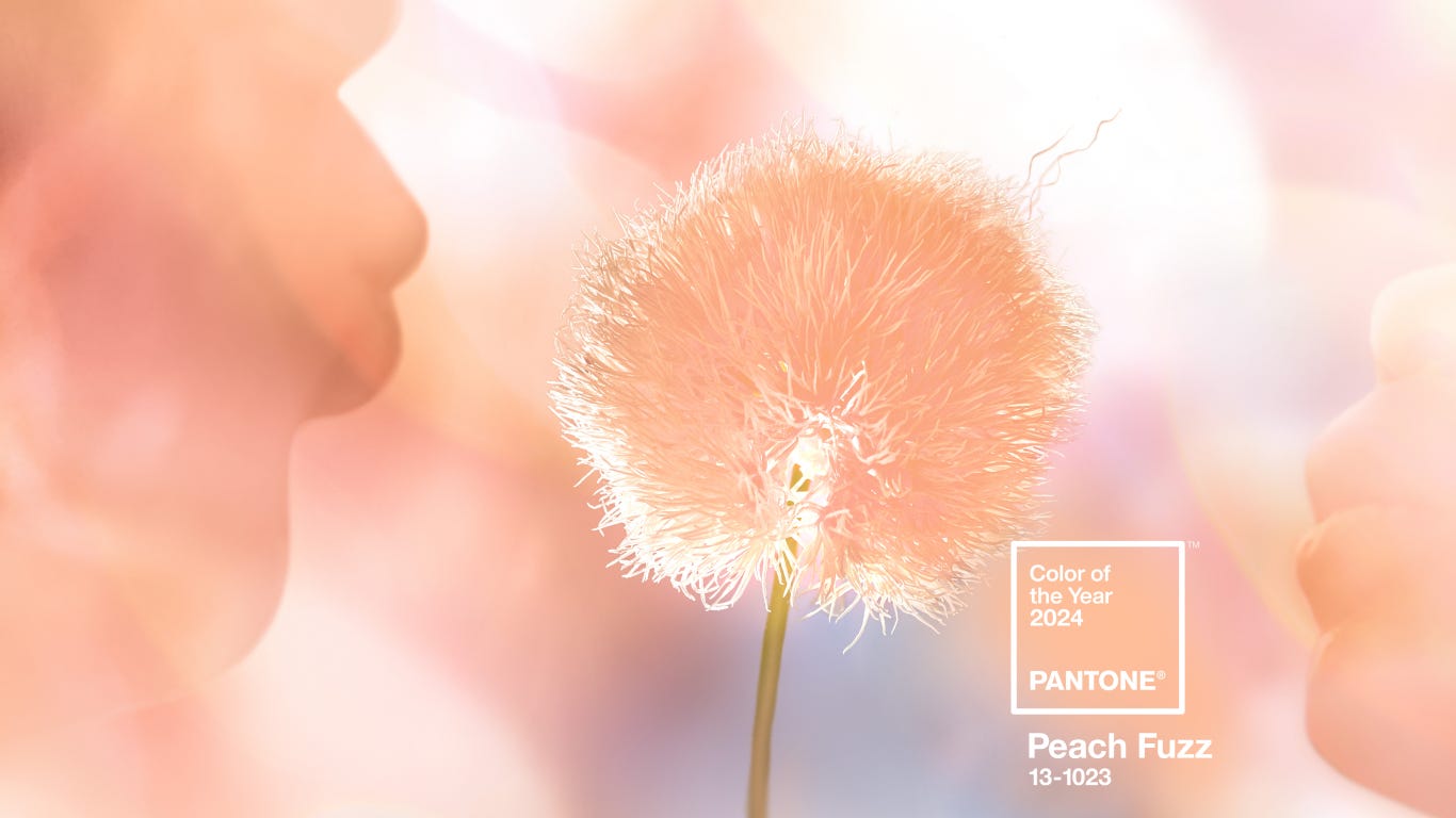 Kolor roku 2024 według Insytutu Pantone – Peach Fuzz